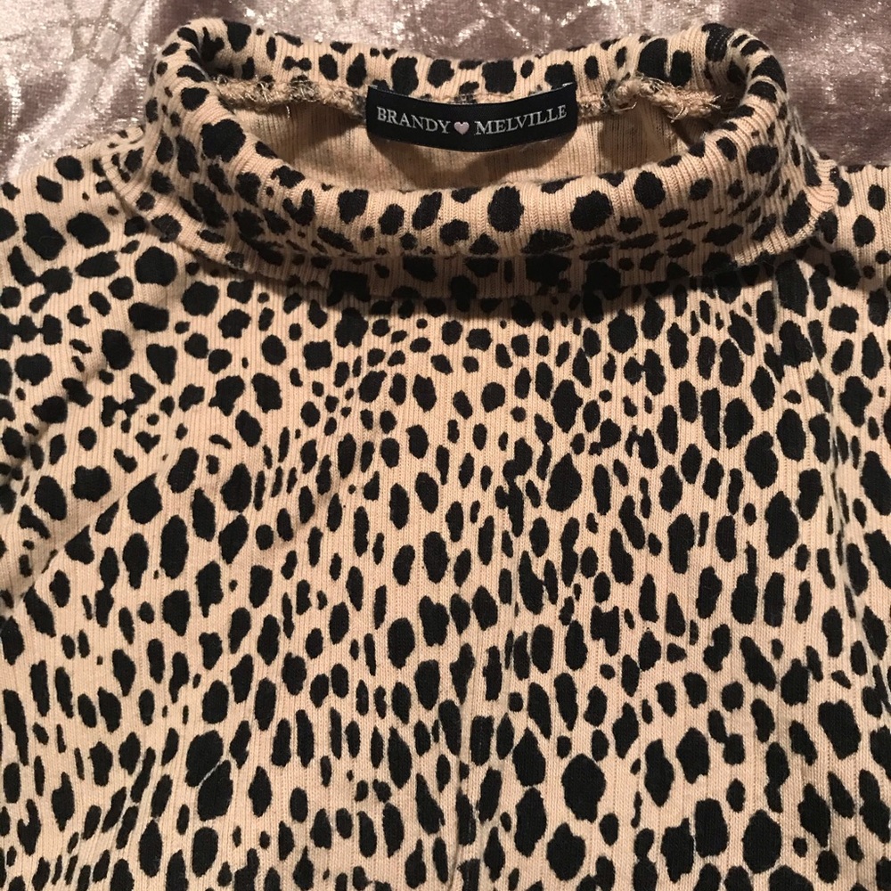Brandy Melville Turtleneck Crop Top